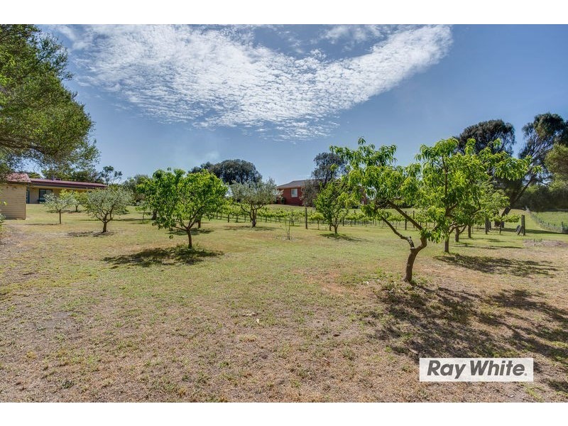 175 Maxwell Road, Fingal VIC 3939