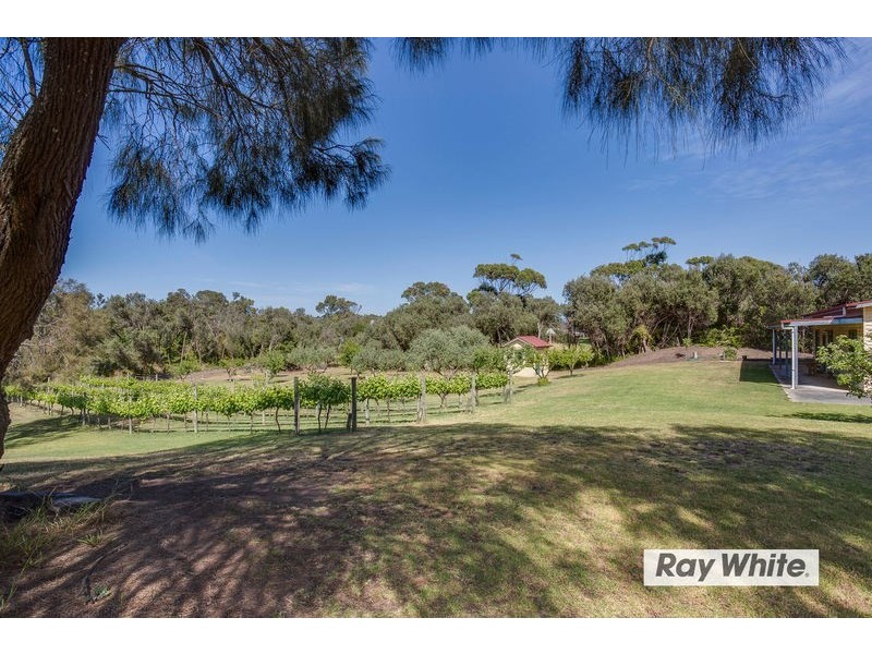 175 Maxwell Road, Fingal VIC 3939