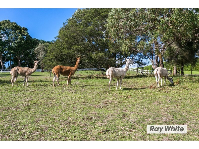 130 Browns Road, Boneo VIC 3939