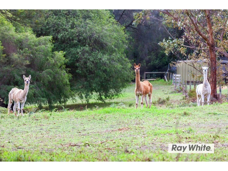 130 Browns Road, Boneo VIC 3939