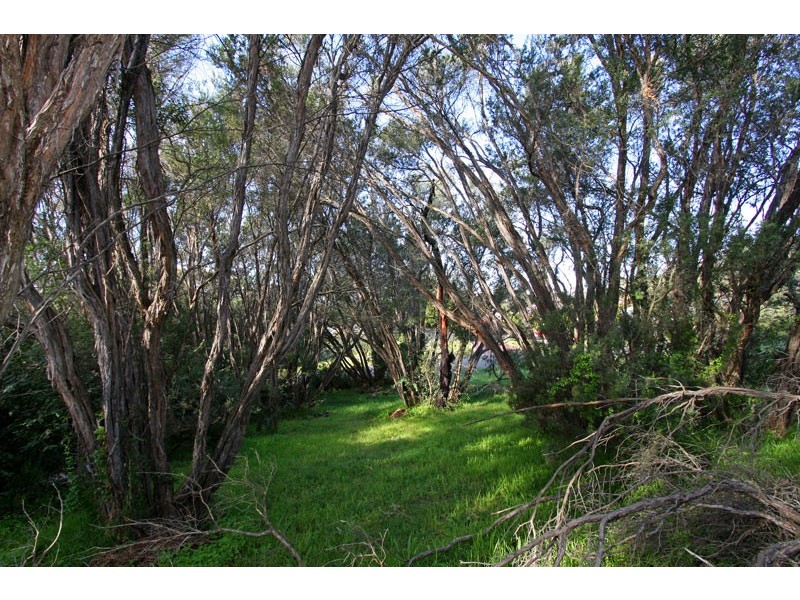 62 Highbury Road, Rye VIC 3941