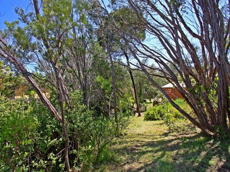 71 Kareela Drive, Tootgarook VIC 3941