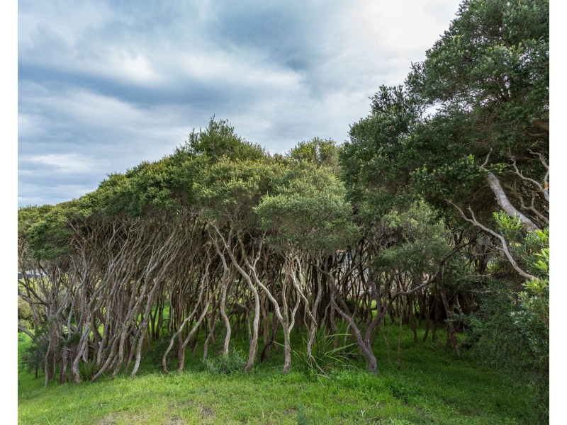 17 Beryl Court, Rye VIC 3941
