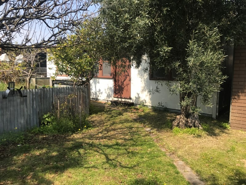 39 Plain Street, Tootgarook VIC 3941