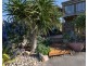 532 Dundas Street, St Andrews Beach VIC 3941