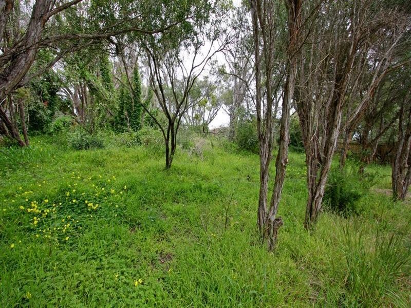 61 Kareela Drive, Tootgarook VIC 3941