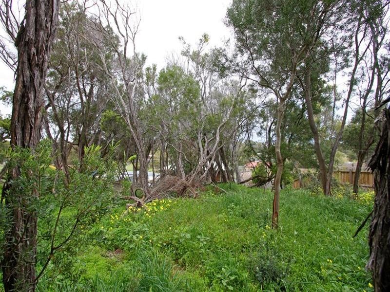 61 Kareela Drive, Tootgarook VIC 3941