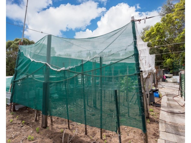 5 Eureka Street, Rye VIC 3941