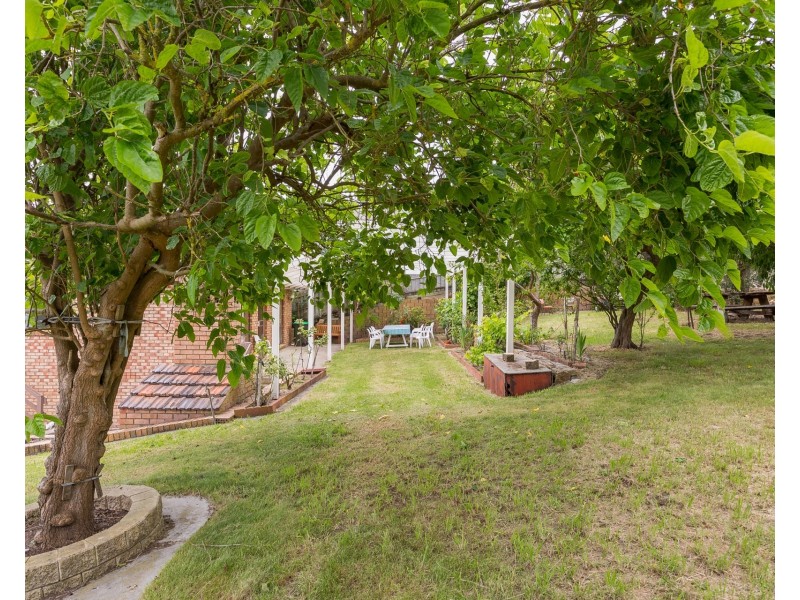 19 Sunshine Grove, Rye VIC 3941