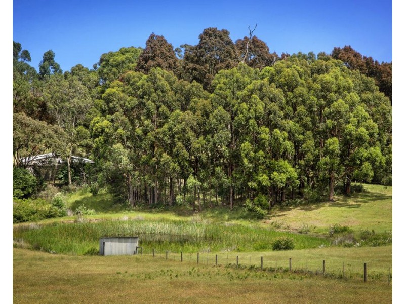 45-61 Waterfall Gully Road, Main Ridge VIC 3928