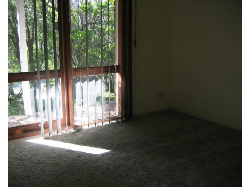 343 Sandy Road, St Andrews Beach VIC 3941