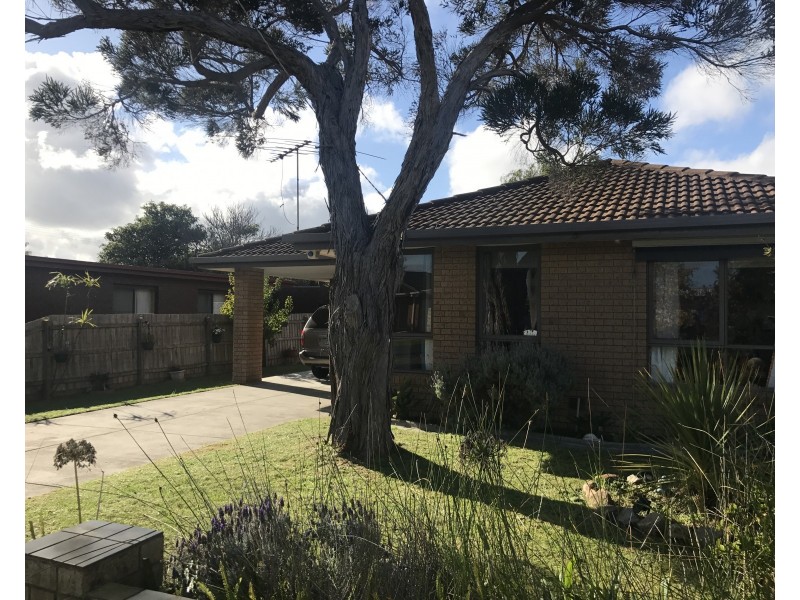 41 Plain Street, Tootgarook VIC 3941