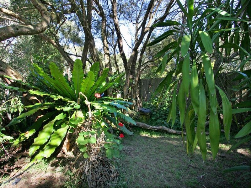 59 Dunham Street, Rye VIC 3941