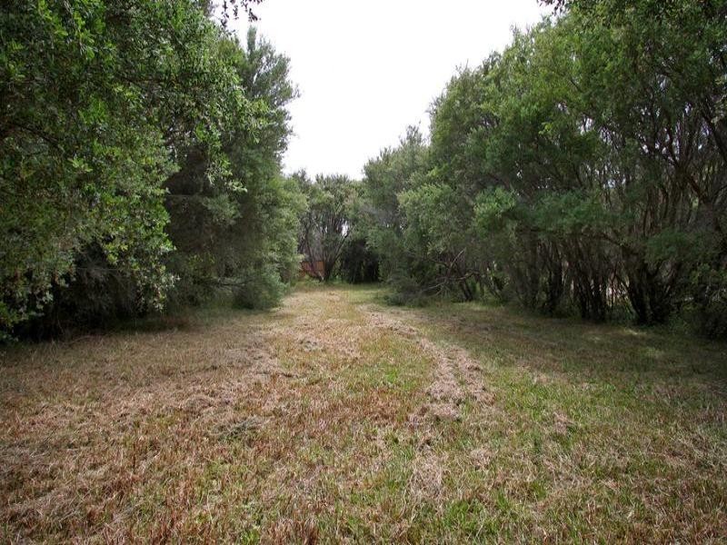 13 Spurgeon Close, Rye VIC 3941