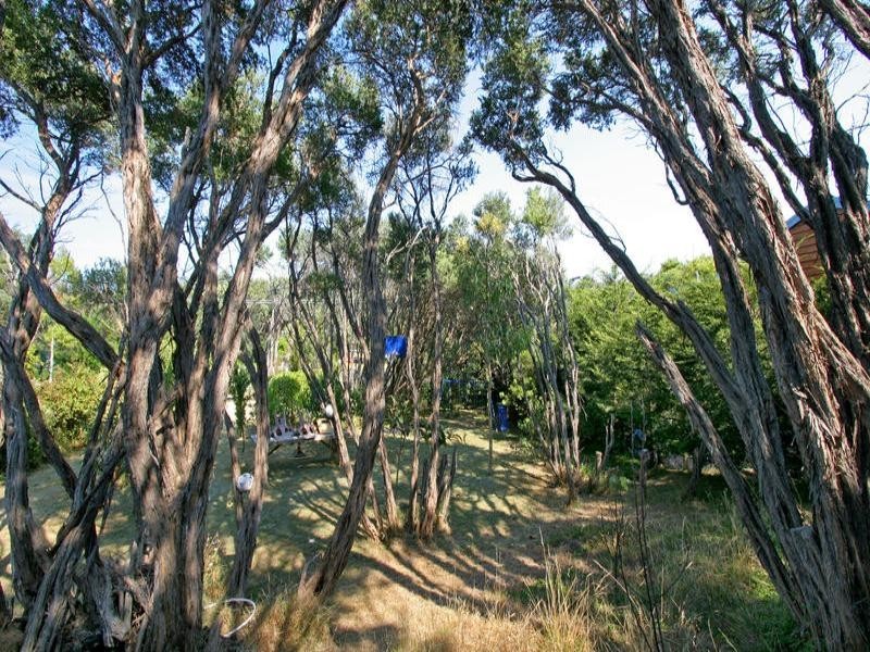 8 Clematis Court, Rye VIC 3941