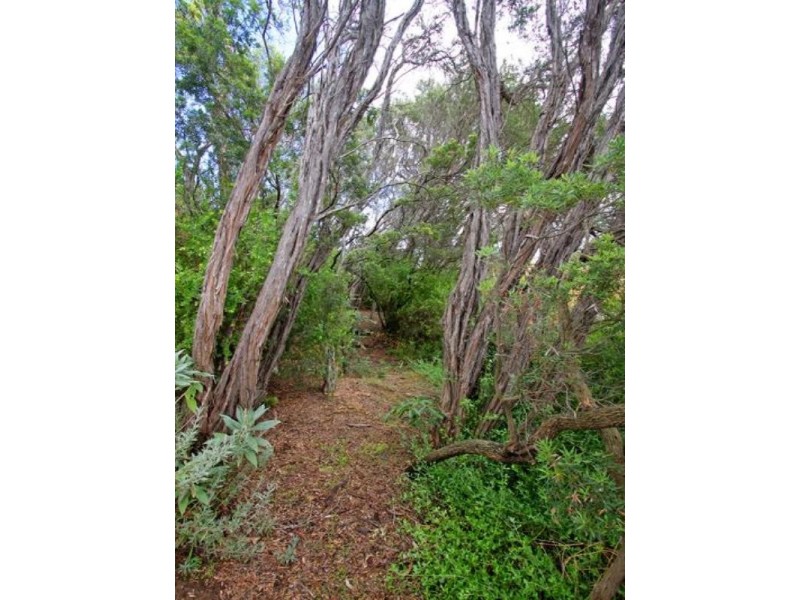 9 Bachli Street, Rye VIC 3941