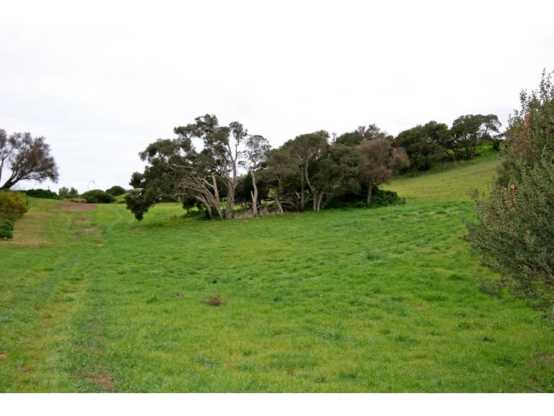 21 Arthurs View, Fingal VIC 3939