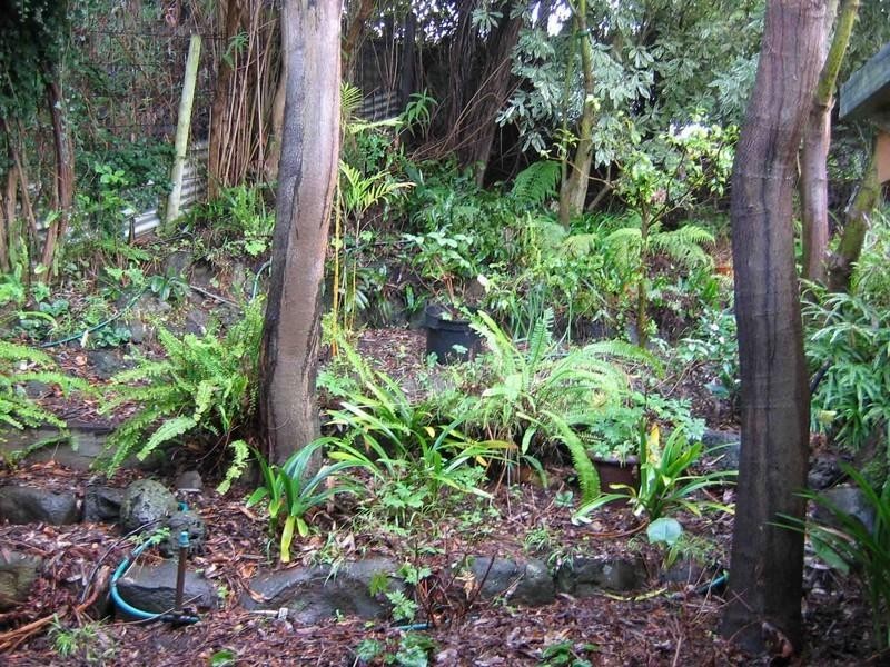 58 Grandview Road, Rye VIC 3941