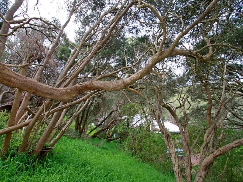 17 Yannuga Street, Rye VIC 3941