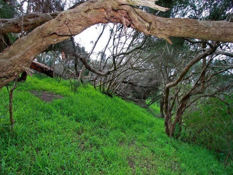 17 Yannuga Street, Rye VIC 3941