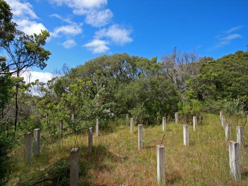 10 Trinity Court, Rye VIC 3941