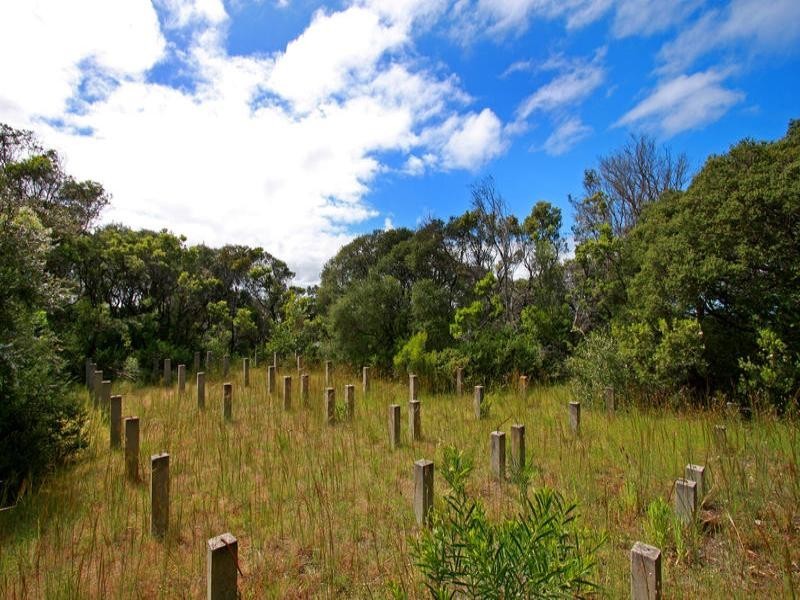 10 Trinity Court, Rye VIC 3941