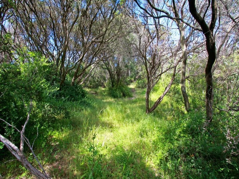 10 Trinity Court, Rye VIC 3941