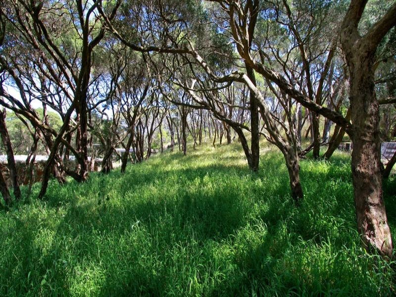 18 Betty Street, Rye VIC 3941