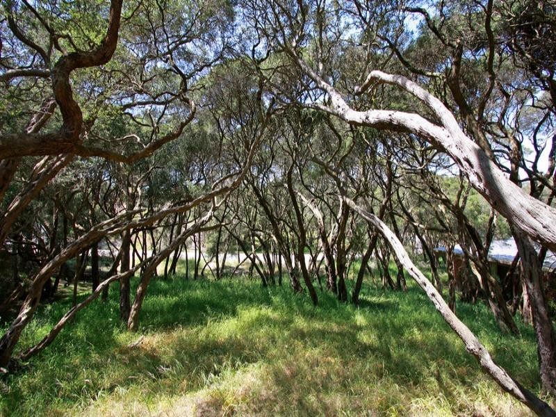 18 Betty Street, Rye VIC 3941