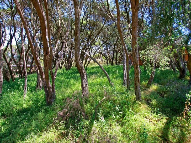 18 Betty Street, Rye VIC 3941