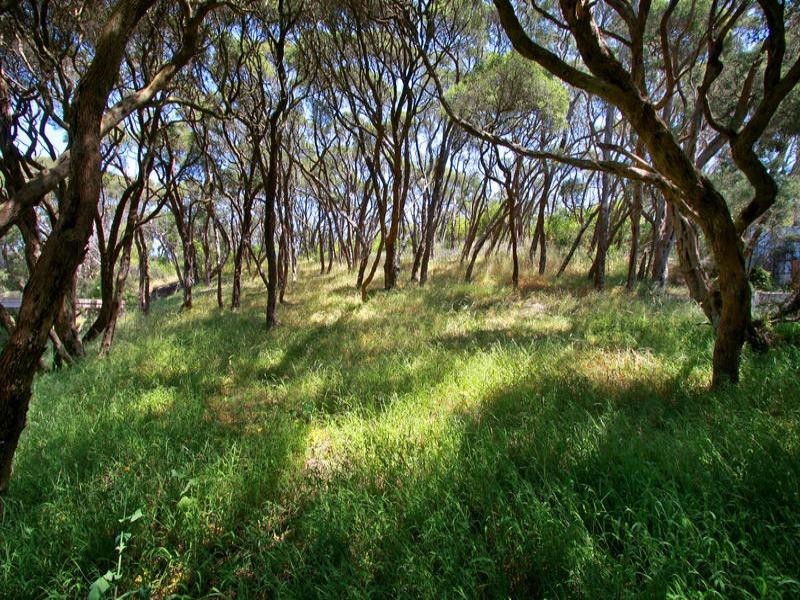 18 Betty Street, Rye VIC 3941