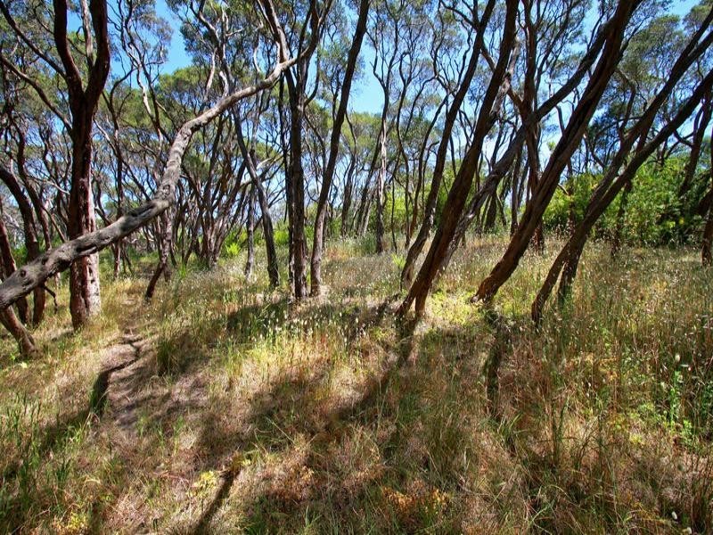 18 Betty Street, Rye VIC 3941