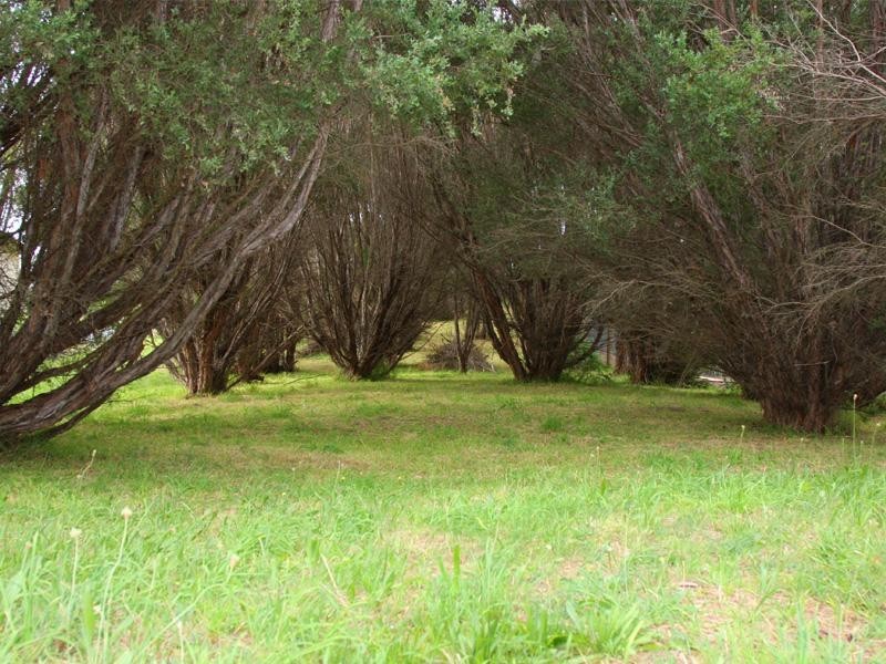 32 Panorama Drive, Tootgarook VIC 3941