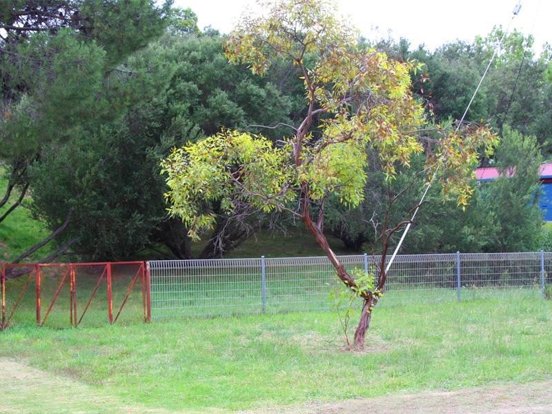 32 Panorama Drive, Tootgarook VIC 3941