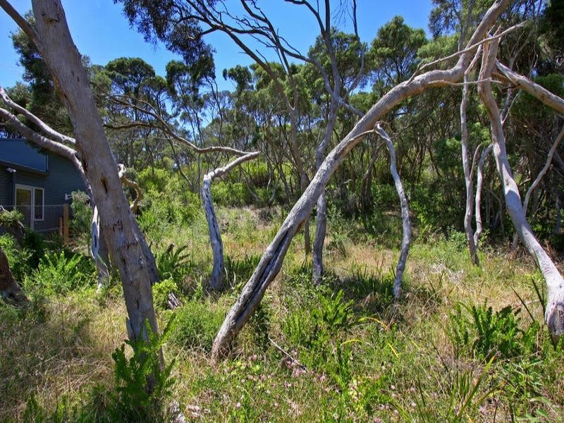 38 Phillipa Street, Blairgowrie VIC 3942