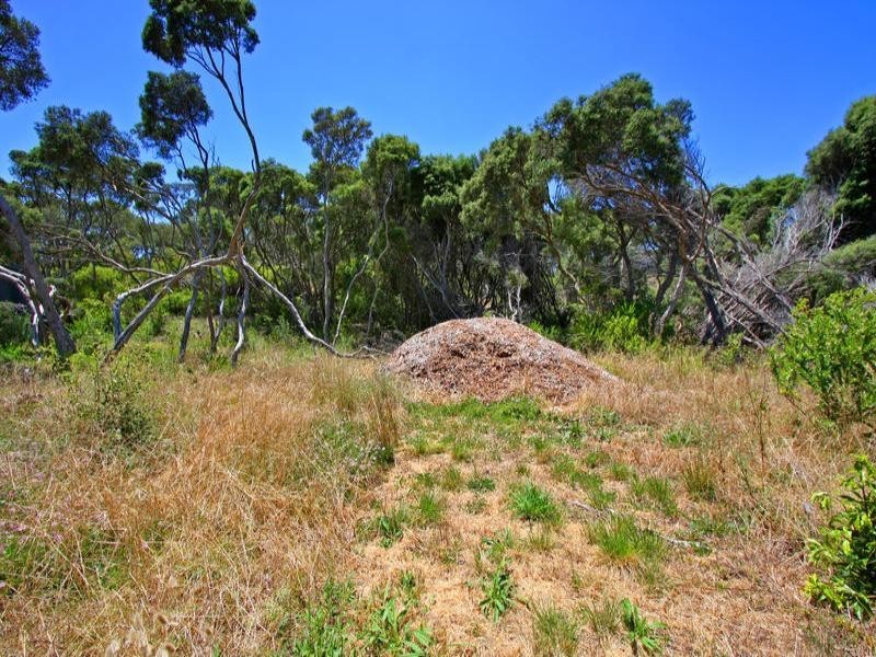 38 Phillipa Street, Blairgowrie VIC 3942