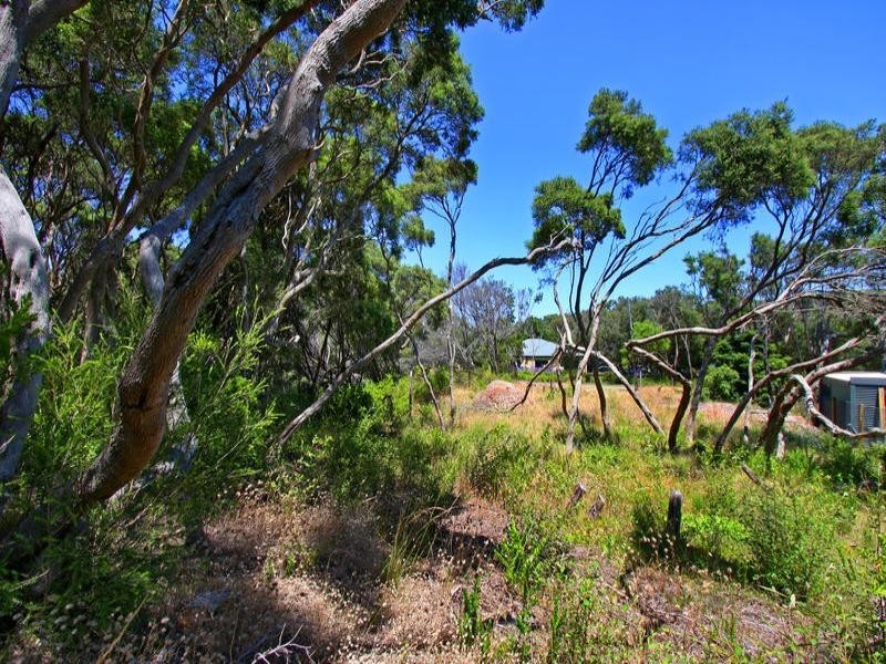 38 Phillipa Street, Blairgowrie VIC 3942