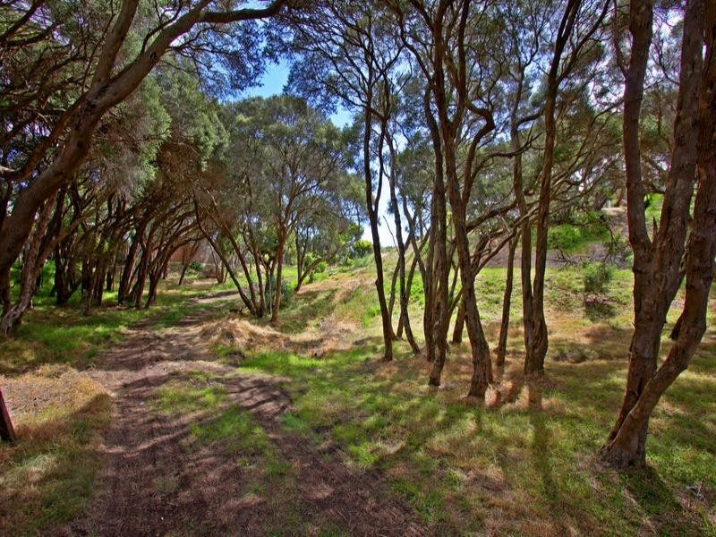 24 Eugenia Street, Rye VIC 3941