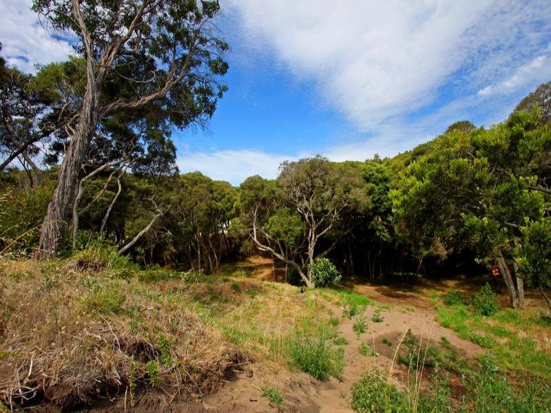 24 Eugenia Street, Rye VIC 3941