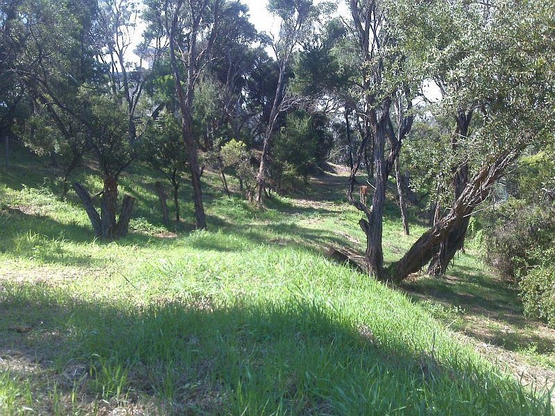 81 Grandview Avenue, Rye VIC 3941