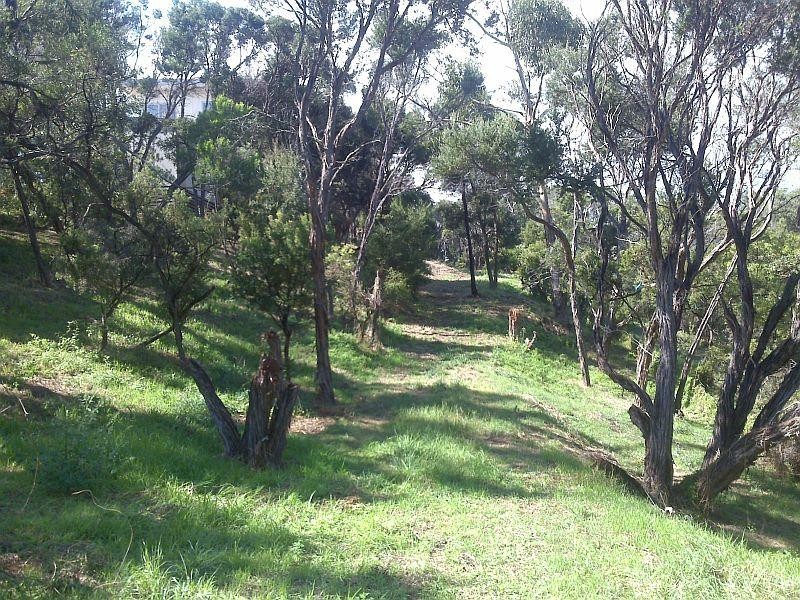 81 Grandview Avenue, Rye VIC 3941