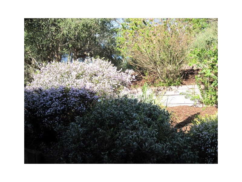 5 Kent Road, Rye VIC 3941