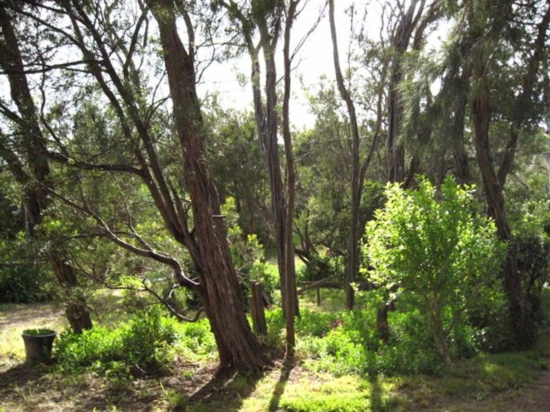 130 Weeroona Street, Rye VIC 3941