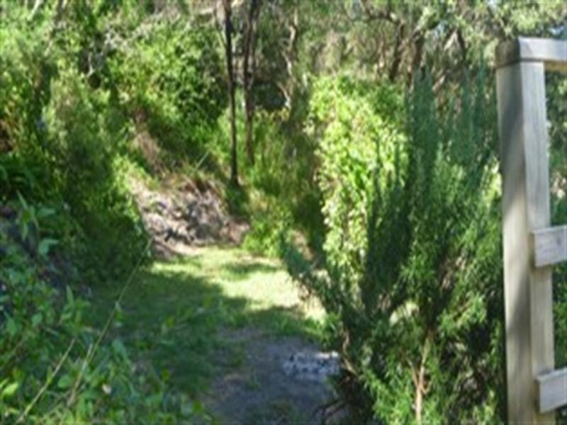 40 Owarra Street, Rye VIC 3941