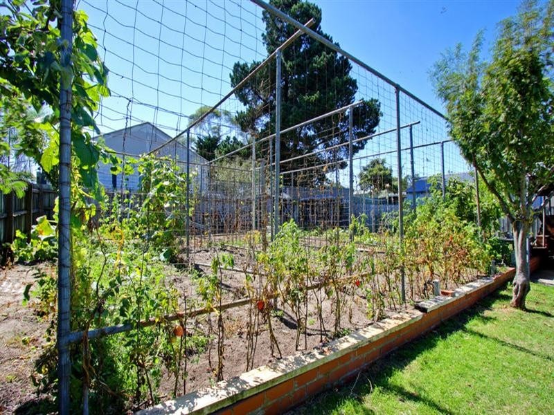 62 Raymond Street, Tootgarook VIC 3941