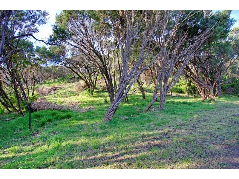 18 Bruce Avenue, Rye VIC 3941