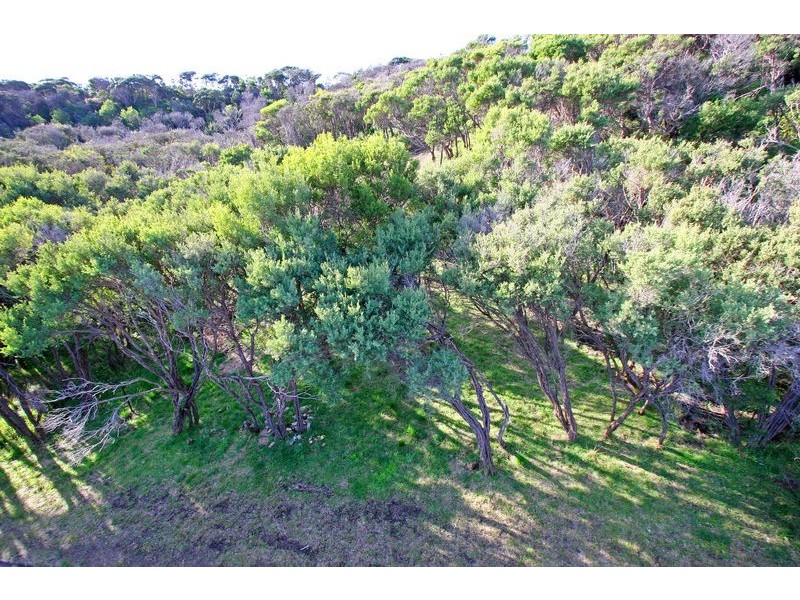 18 Bruce Avenue, Rye VIC 3941