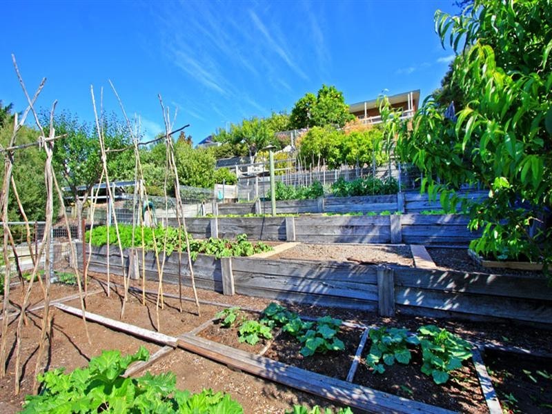 46 Bella Vista Drive, Tootgarook VIC 3941