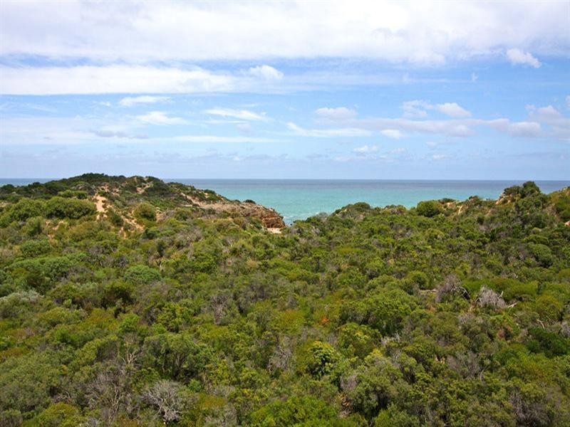 442 Tasman Drive, Rye VIC 3941