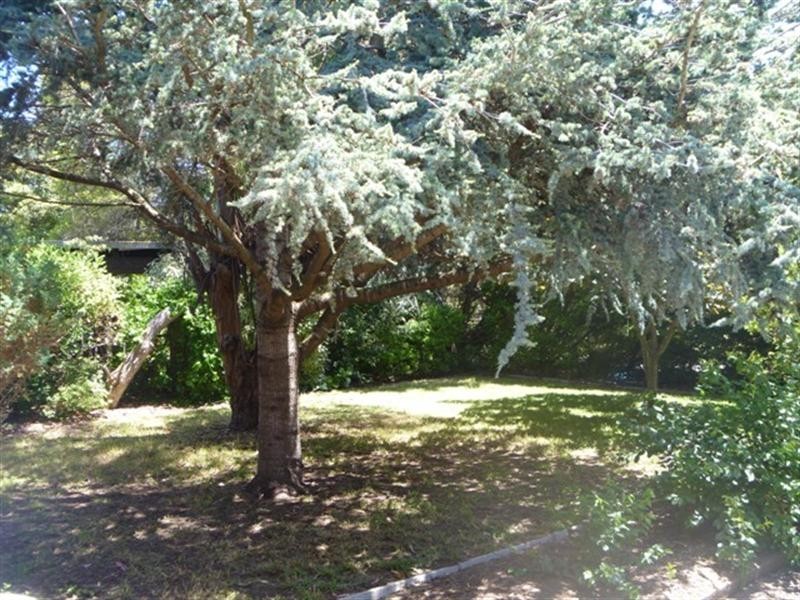 17 Doe Street, Rye VIC 3941